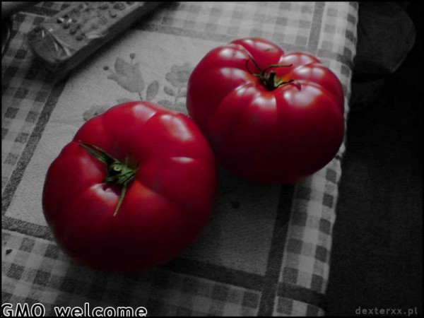 GMOWelcome