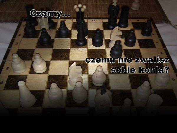 szachy-zwal-konia