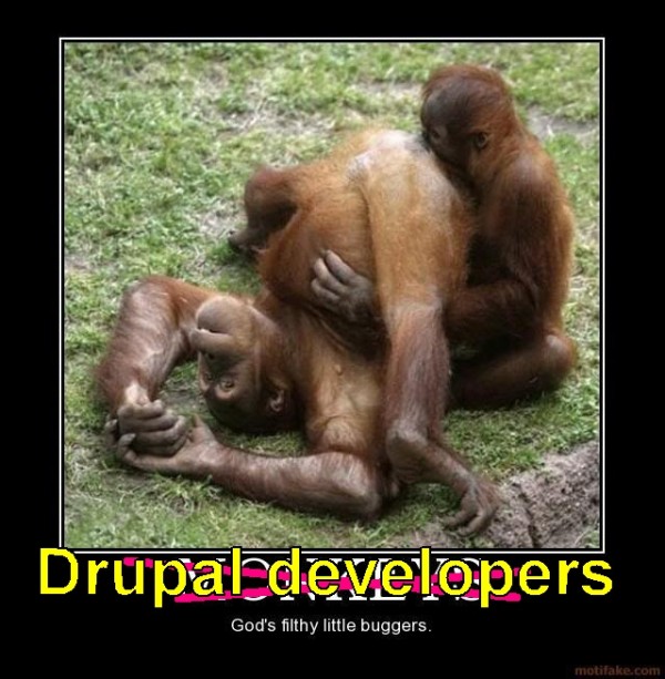 Drupal developers