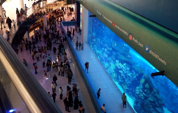 Dubai Mall i wielkie akwarium
